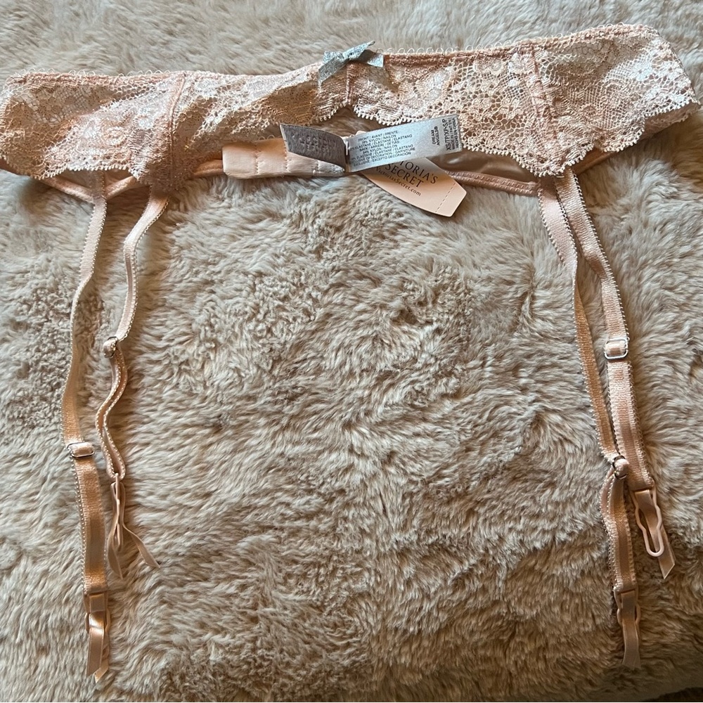 NWT Dream Angel VS Garter belt